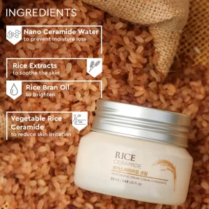 Rice and Ceramide moisturizing cream The Face Shop Korean skincare