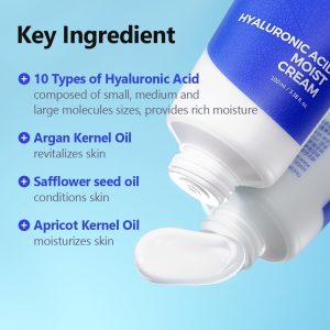 Hyaluronic Acid Moist Cream ISNTREE KOREAN SKINCARE