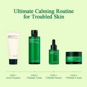 Ultimate Calming Solution Ampoule Pyunkang Yul korean skincare acne 